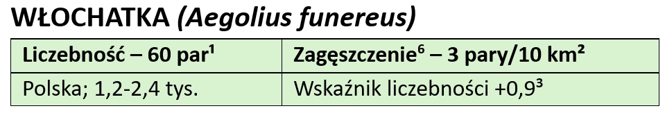 wlochatka-tekst