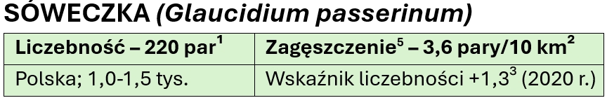 soweczka-tekst