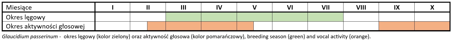 soweczka-aktywnosc