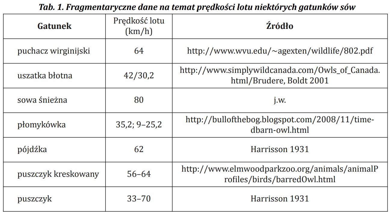 szybkość lotu sów - Sowy Puszczy Białowieskiej