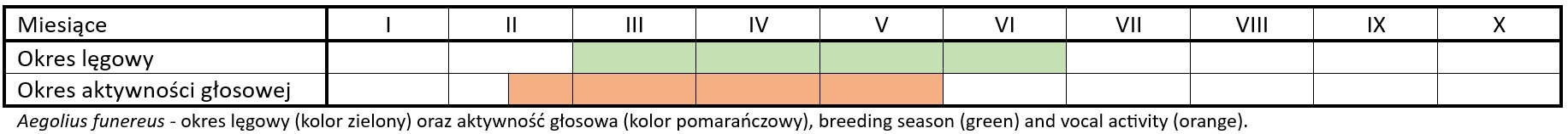 w�ochatka-aktywnosc